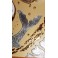 Tableau Carpe Koï Ying Yang Crème et Or / Argent - 60x60 - TB044
