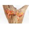 Boucles d'oreilles en Bambou (059)