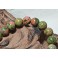 Bracelet de pierre Unakite 8 mm