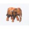 Eléphant sculpté en bois de Suar 21X23