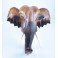 Tête d'éléphant d'Asie sculpté en bois de Suar 31X31