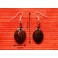 Boucles d'oreilles en noix coco "Ovale"