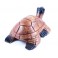 Tortue sculpté en bois de Suar - 23x14