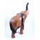 Eléphant sculpté en bois de Suar 41x29