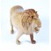 Lion clair sculpté en Teck - 13x17 - Gauche