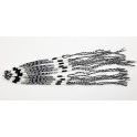 Lot de 10 Bracelets de l'amitié en coton - Blanc et Noir- Bracelet brésilien