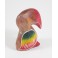 Toucan sculpté en Teck - 11x8