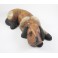 Chien couché sculpté en bois de Suar - 9x31