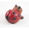 Coccinelle sculpté en bois de Suar - 7x11