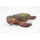 Tortue de mer sculpté en bois de Suar 14x13