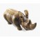 Rhinocéros sculpté en bois de Suar - 53x25