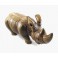 Rhinocéros sculpté en bois de Suar - 53x25