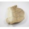 Tortue vide poche en bois de suar - 35x22